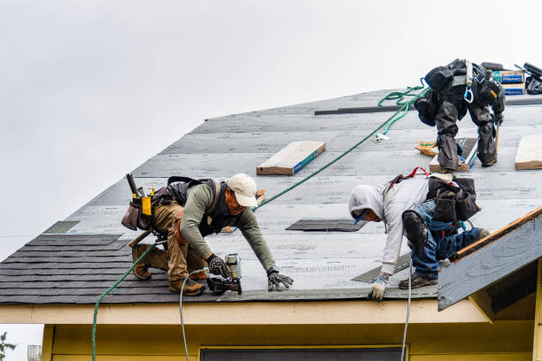Professional Gutter Installation technician working in Pandora, OH